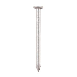 Timco 100 x 4.50 Round Wire Nail - Galvanised 2.5 Pack (GRW100LB)