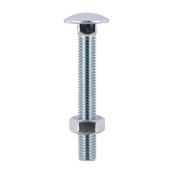 Timco 10 x 100 Carriage Bolt & Hex Nut - BZP 2 Pack (10100CBP) (10100CBP)