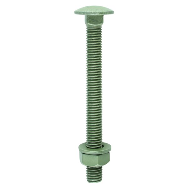Timco 10.0 x 100 In-Dex Carriage Bolt, Nut+Washer 10 Pack (10100INCB)